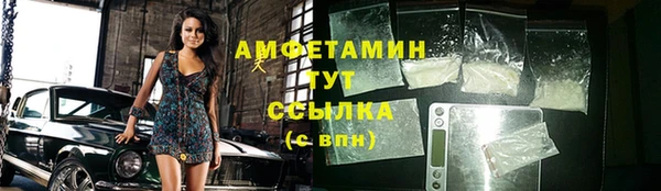 ПСИЛОЦИБИНОВЫЕ ГРИБЫ Корсаков