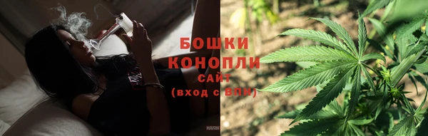 дмт Козельск