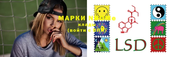 гашик Сатка