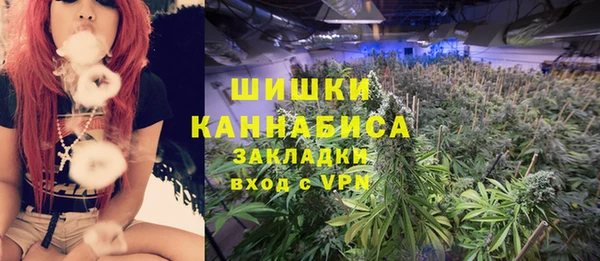 ПСИЛОЦИБИНОВЫЕ ГРИБЫ Корсаков