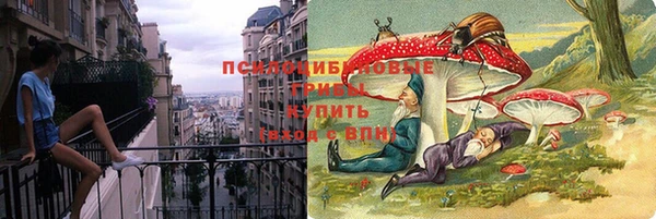 ПСИЛОЦИБИНОВЫЕ ГРИБЫ Корсаков