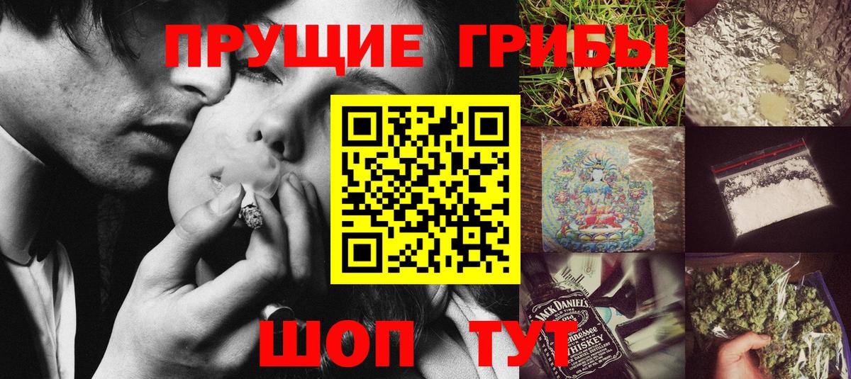 Псилоцибиновые грибы Psilocybe Старая Купавна