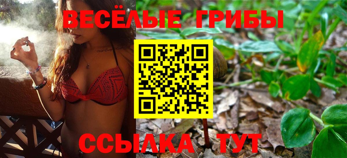 Псилоцибиновые грибы ЛСД Старая Купавна